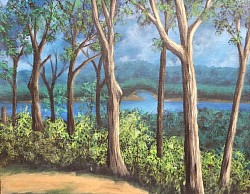 Wyalusing