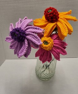 Cone Flowers