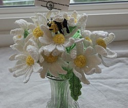 Daisies