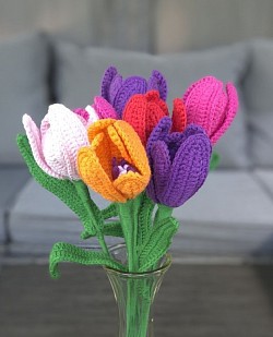 Tulips