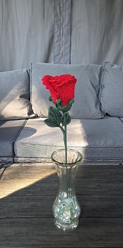 Red Rose