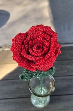Red Rose