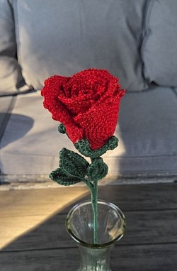 Red Rose