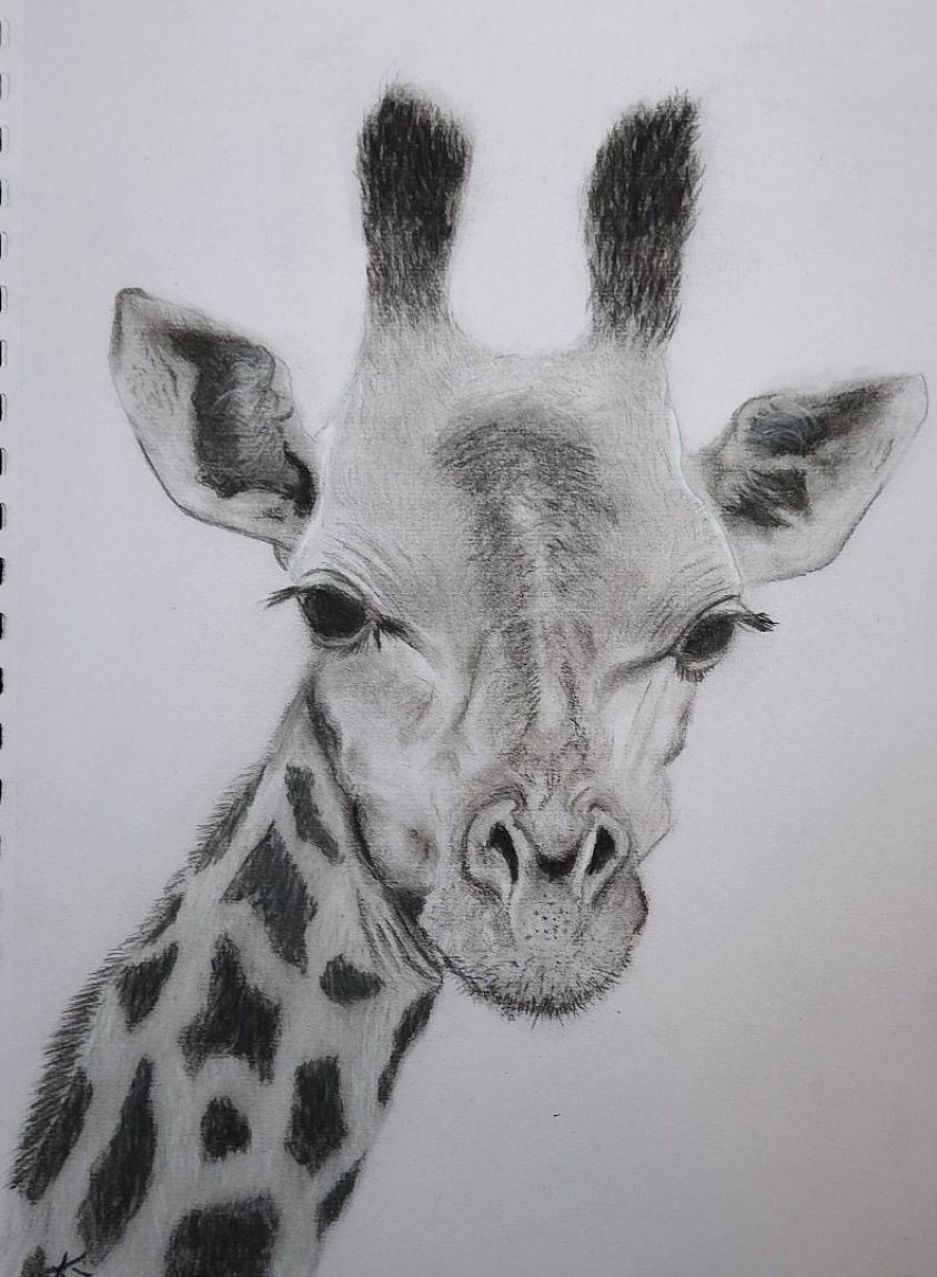 I'm A Giraffe  9