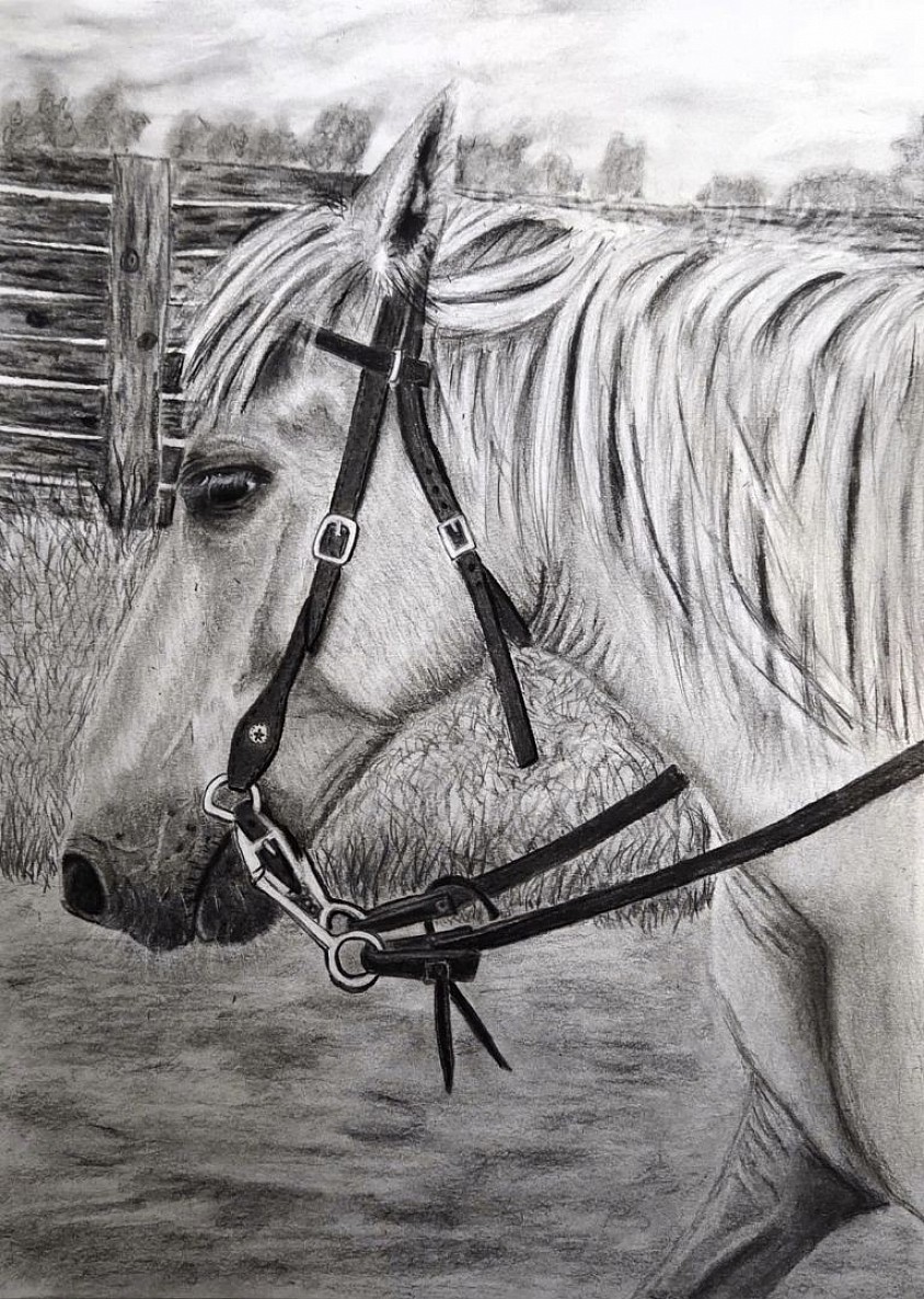 THE GIFT OF TWIX Donation to Riding With Angels 2026 Fundraiser.  Non-profit farm in Palmyra, Wisconsin that rescues abused & neglected horses.