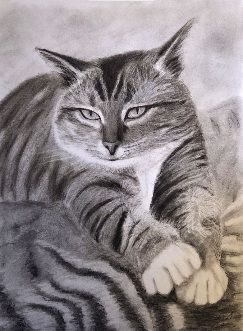 Kitty